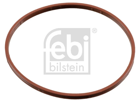 Seal Ring, throttle body